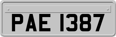 PAE1387