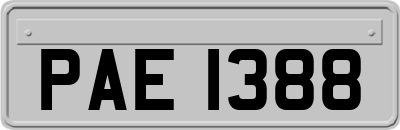 PAE1388