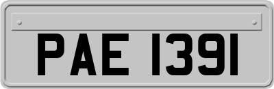 PAE1391