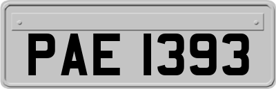 PAE1393