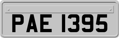 PAE1395