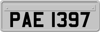PAE1397