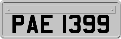 PAE1399
