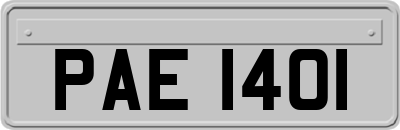 PAE1401