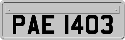 PAE1403