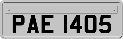 PAE1405
