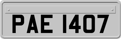 PAE1407