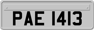 PAE1413