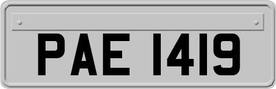 PAE1419