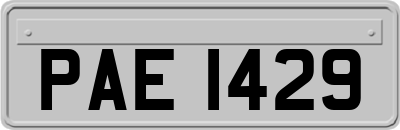 PAE1429