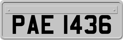 PAE1436
