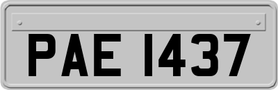 PAE1437