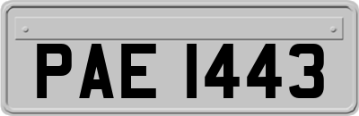 PAE1443
