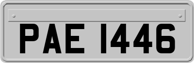 PAE1446