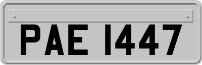 PAE1447