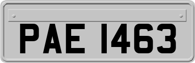 PAE1463
