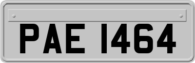 PAE1464