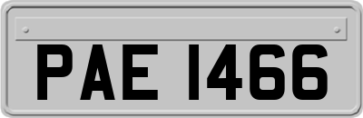 PAE1466