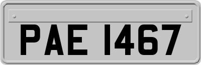 PAE1467