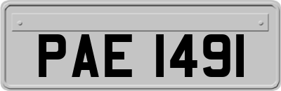 PAE1491