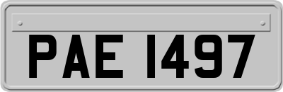 PAE1497
