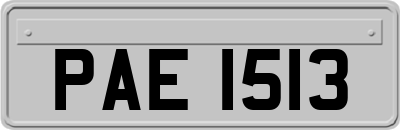 PAE1513