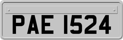 PAE1524