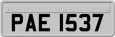 PAE1537