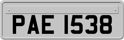 PAE1538