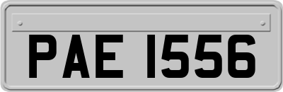 PAE1556
