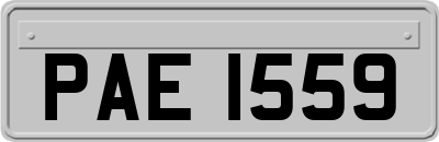 PAE1559