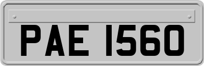 PAE1560