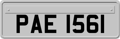PAE1561
