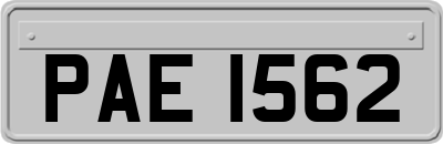 PAE1562