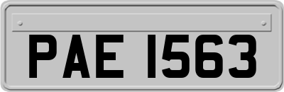 PAE1563