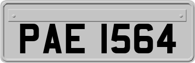 PAE1564