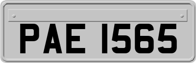 PAE1565