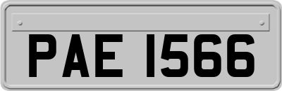 PAE1566