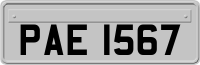 PAE1567