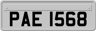 PAE1568