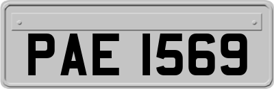 PAE1569