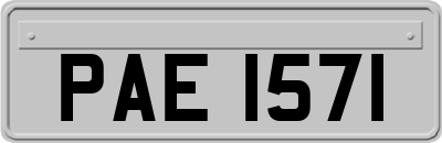 PAE1571