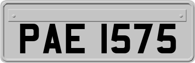PAE1575