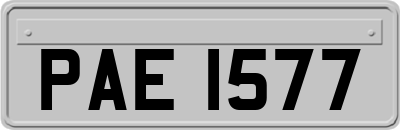 PAE1577