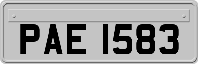 PAE1583