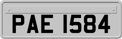 PAE1584