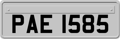 PAE1585