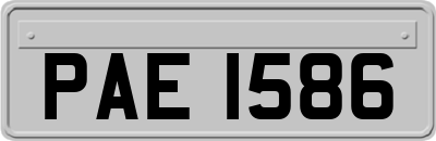 PAE1586