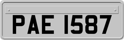 PAE1587