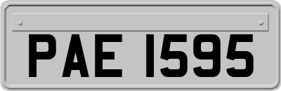 PAE1595